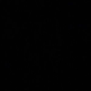 Meet your Posher, Ron